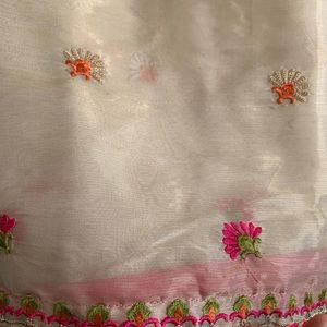 Indian Pakistani outfit